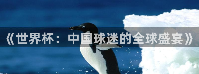 世界杯今年：《世界杯：中国球迷的全球盛宴》