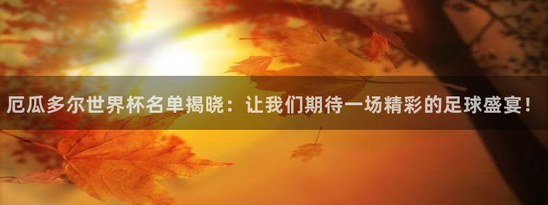 足球世界杯：厄瓜多尔世界杯名单揭晓：让我们期待一场精彩的足球盛宴！