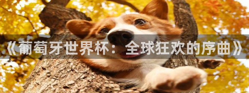 2026足球世界杯：《葡萄牙世界杯：全球狂欢的序曲》