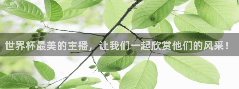 足球世预赛：世界杯最美的主播，让我们一起欣赏他们的风采！