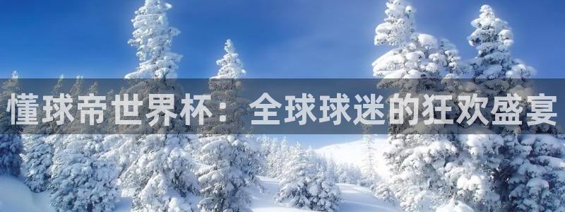 2026世界杯赛程时间表最新：懂球帝世界杯：全球球迷的狂欢盛宴