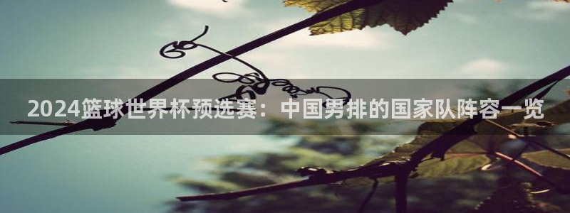 2026世界杯赛：2024篮球世界杯预选赛：中国男排的国家队阵容一览