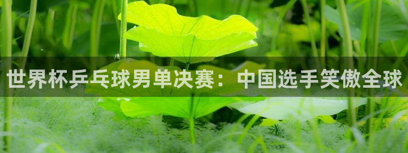 世界杯葡萄牙赛程：世界杯乒乓球男单决赛：中国选手笑傲全球