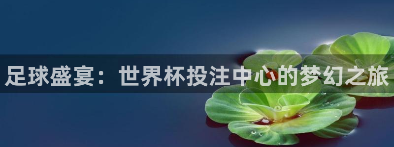 世预赛免费直播入口：足球盛宴：世界杯投注中心的梦幻之旅